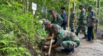 Kodim 0818 Bersama Masyarakat Kalipare Gelar Gerakan Penghijauan