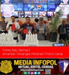 Polres Batu Berhasil Amankan Tersangka Penanam Pohon Ganja