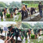 TNI-POLRI Bersama Pemdes Pungpungan Kalaborasi Tanam Lahan Kosong untuk Ketahanan Pangan Berkelanjutan.