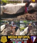 Plengsengan dari Tanah Liat: Bukti Gagalnya Pengawasan dan Bobroknya Integritas Proyek Pemkab Banyuwangi