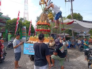 HUT RI Ke – 80 Pemdes Alasgung Mempersiapkan Karnaval dengan Simbul Gunungan Hasil Bumi