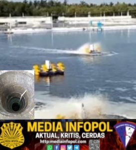 Dampak dari Tambak Udang Yang Mengakibatkan Puluhan Warga Yehembang Krisis Air Bersih