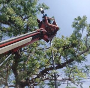 Jalan Nasional Jalur Babat-Bojonegoro-Ngawi Makin Terang Sebanyak 1.192 Titik Dipasang Lampu LED 120 Watt