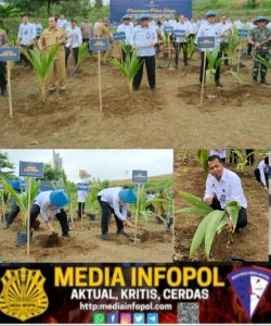 Kalapas Banyuwangi Ikuti  Penanaman Bibit Pohon Kelapa Serentak di SAE Ngajum, Untuk Mendukung Program Ketahanan Pangan Nasional,  MALANG – Mediainfopol.com  Dalam rangka mendukung program ketahanan pangan nasional, Kementerian Imigrasi dan Pemasyarakatan (Kemenimipas) menggelar penanaman bibit pohon kelapa secara serentak di seluruh Indonesia,  Kegaiatan tersebut dilaksanakan secara terpusat di Nusakambangan. Rabo (10/9/2025)  Kantor Wilayah (Kanwil) Ditjen Pemasyarakatan Jawa Timur memusatkan kegiatan penanamannya di lahan Sarana Asimilasi dan Edukasi (SAE) Lembaga Pemasyarakatan (Lapas) Kelas I Malang di Ngajum, Kabupaten Malang.  Kepala Lapas Kelas IIA Banyuwangi, I Wayan Nurasta Wibawa turut hadir dalam kegiatan di SAE Ngajum tersebut sebagai bentuk nyata dukungan dan komitmen untuk menyukseskan program ketahanan pangan yang dicanangkan oleh Presiden dalam Asta Cita Presiden, serta 13 Program Akselerasi Menteri Imigrasi dan Pemasyarakatan.  Kegiatan penanaman dipimpin secara langsung oleh Kepala Kanwil Ditjen Pas Jawa Timur, Kadiyono, didampingi oleh seluruh Kepala UPT Pemasyarakatan dan Imigrasi se-Jawa Timur.  Kehadiran jajaran Forum Koordinasi Pimpinan Daerah (Forkopimda) setempat juga turut memeriahkan dan menguatkan dukungan terhadap agenda strategis nasional ini.  Dalam sambutannya, Kepala Kanwil Ditjen Pas Jatim mengungkapkan bahwa total terdapat 10.000 bibit kelapa yang ditanam serentak di seluruh UPT wilayah Jawa Timur.  “Rinciannya, yang ditanam di SAE Ngajum ini berjumlah 3.331 pohon. Sedangkan 6.669 bibit lainnya tersebar pada seluruh UPT Pemasyarakatan dan Imigrasi di Jawa Timur,” jelas Kadiyono.  Ia menegaskan bahwa kegiatan ini tidak hanya bernilai simbolis semata, melainkan menjadi bukti nyata komitmen Kanwil Jatim dalam menjaga kelestarian lingkungan sekaligus mendukung program nasional ketahanan pangan.   “Penanaman pohon kelapa ini adalah wujud komitmen kita bersama untuk mewariskan lingkungan yang lebih baik bagi generasi mendatang. Selain memberi manfaat ekologis, pohon kelapa juga memiliki nilai ekonomi yang dapat mendukung kesejahteraan masyarakat,” tegasnya.  Sementara itu, usai mengikuti kegiatan pusat di Ngajum, Kalapas Banyuwangi menyatakan kesiapannya untuk segera mengimplementasikan hal serupa di wilayah kerjanya. Dijelaskannya, bibit kelapa yang telah dialokasikan akan ditanam secara bertahap di lahan SAE yang berada di Kelurahan Pakis, Banyuwangi.  “Keikutsertaan kami dalam kegiatan serentak ini merupakan bentuk kesungguhan Lapas Banyuwangi untuk berkontribusi aktif. Kami berharap, dengan penanaman yang akan kita lakukan di SAE Pakis, Lapas Banyuwangi mampu memberikan kontribusi nyata dan mewujudkan keberhasilan program ketahanan pangan yang dicanangkan oleh pemerintah,” pungkas Wayan.   (siswanto)