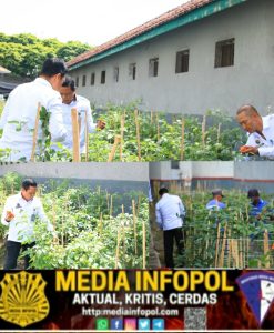 Berhasil Sulap Brandgang Jadi Lahan Pertanian Produktif untuk Dukung Program Ketahanan Pangan