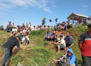 Semangat Gotong Royong Di Desa Giham Suka Maju Kecamatan Sekincau Kebupaten Lampung Barat