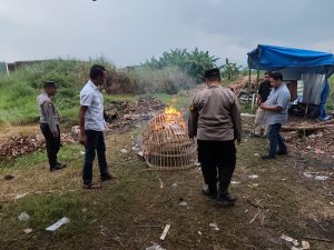 Respon Aduan Warga Adanya Sabung Ayam, Polsek Tulangan Turun Langsung ke Lokasi