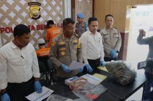 Polresta Bengkulu Bongkar Jaringan Peredaran Ganja dan Senpi Rakitan, Amankan Empat Kilogram Ganja Serta Amunisi