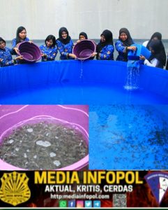 Lapas Banyuwangi Lepas Lima Ribu Bibit Lele, Dukung Ketahanan Pangan dan Optimalkan Pembinaan Kemandirian,
