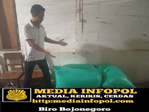 Harga Gabah di Kecamatan Sukosewu Anjlok, Petani Desa Pacing Cemas Jelang Pertengahan Ramadhan