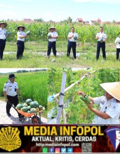 Konsisten dan Produktif, SAE Paswangi Lapas Banyuwangi Gelar Panen Semangka Jilid Dua