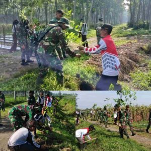 TMMD ke-127, Kodim 0809/Kediri Laksanakan Penghijauan di Cagar Alam Simpenan