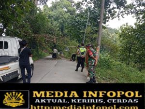 Gerak Cepat Polsek Gondang dan Perhutani Tangani Pohon Tumbang, Arus Bojonegoro–Nganjuk Sempat Lumpuh