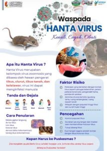 Dinkes Bojonegoro Ajak Masyarakat Waspada Hantavirus dengan Menjaga Kebersihan Lingkungan