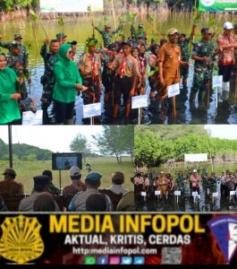Kodim 0824/Jember Bersama Forkopimka Puger Tanam Mangrove Serentak, Wujud Nyata Mitigasi Bencana dan Pelestarian Lingkungan