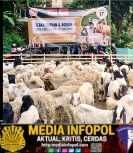 Makna Idul Adha: Ketakwaan dan Kepedulian Sosial dalam Ibadah Qurban
