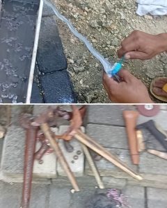 Tegalkodo Mboys :Tradisi Sasi Suro, Warga Jawa Rawat Wesi Aji Peninggalan Leluhur dengan Ritual Khusus