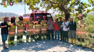 Tim Dinas Damkarmat Bojonegoro Bergerak Cepat, Tangani Kebakaran di 4 Titik dalam Sehari