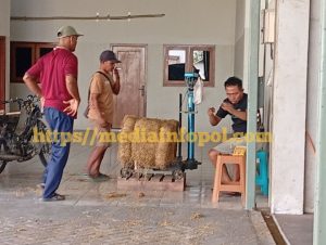 Bukan Sekadar Membeli, H. Sujud Bisa “Membaca” Tembakau Hanya dari Pegangan dan Aroma