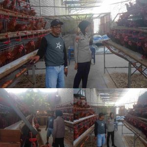 Kapolsek Papar Dukung Program Ketahanan Pangan,  Dorong Produktivitas Peternak
