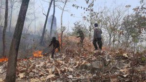 Respons Cepat Polres Ponorogo dan Tim Gabungan Berhasil Jinakkan Karhutla di Sampung
