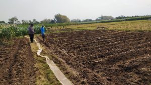 Lahan Tak Harus Luas, Bhabinkamtibmas Polsek Tarokan Dorong Warga Perkuat Ketahanan Pangan