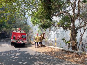 Respons Cepat Laporan 112, Polres Kediri Kota Bersama Damkar dan BPBD Tangani Kebakaran Lahan 2 Hektare di Mojoroto