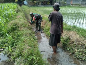 Cegah Genangan Dan Optimalkan Irigasi, Babinsa Koramil 0808/20 Sananwetan Gotong Royong Bersihkan Aliran Air Lahan Padi