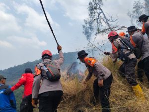 Polda Jatim dan Tim Gabungan Tangani Karhutla Gunung Arjuno Sisir 4 Wilayah